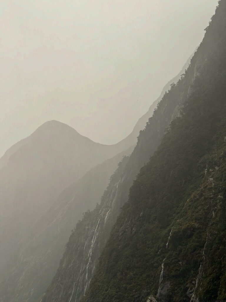 Moody Milford Sound landscape with beige tones and shadows, New Zealand. Smart Marketing.
